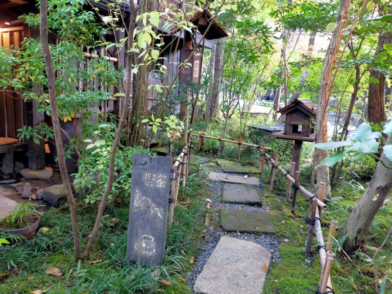 IMG20221109073532