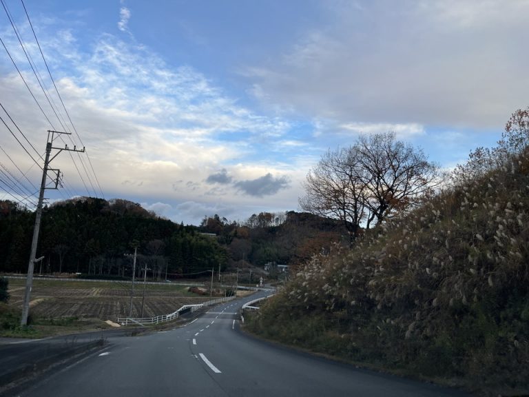 ホテル出てすぐの景色(1)