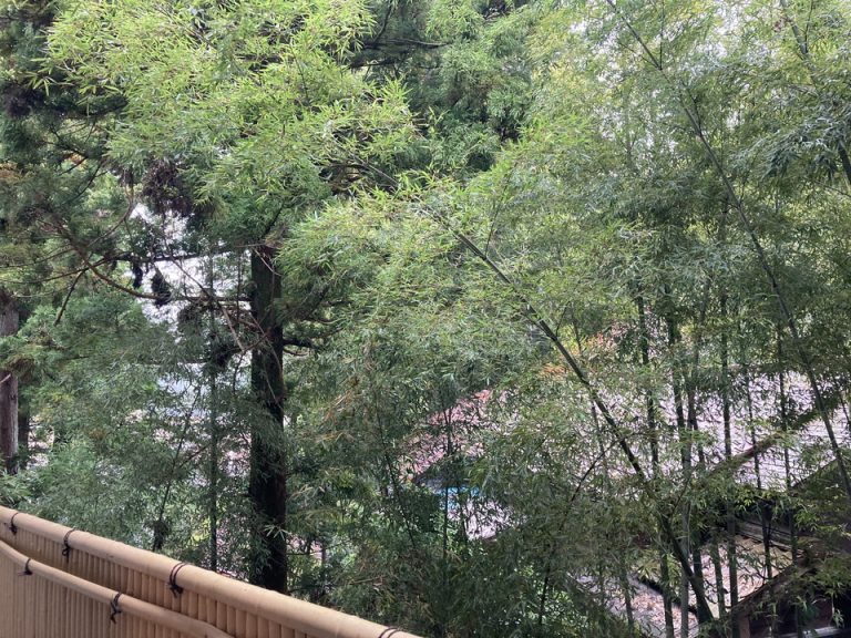 部屋からの眺望(昼間)