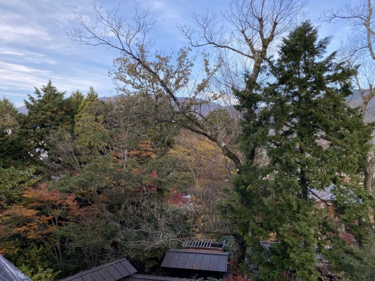 部屋からの眺望1