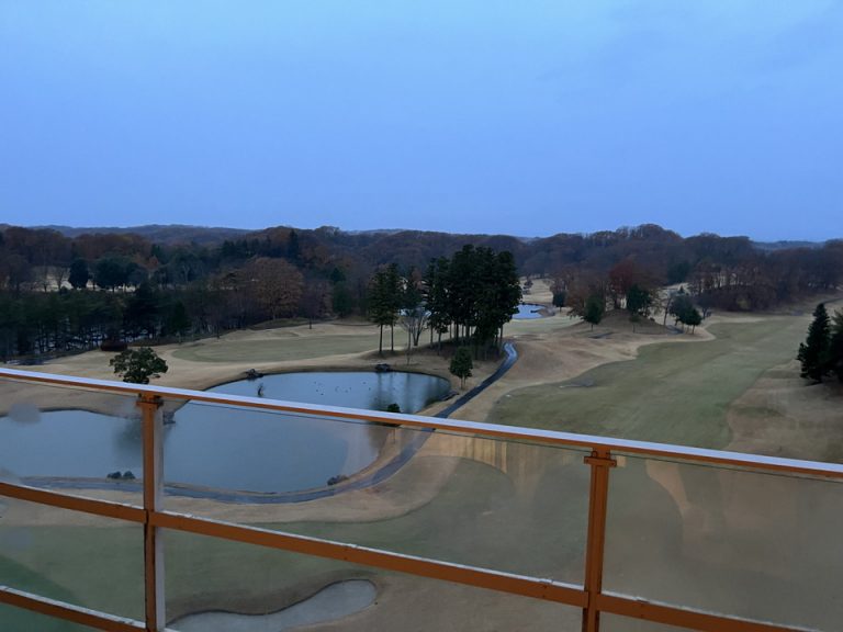 バルコニーからの眺め(1)