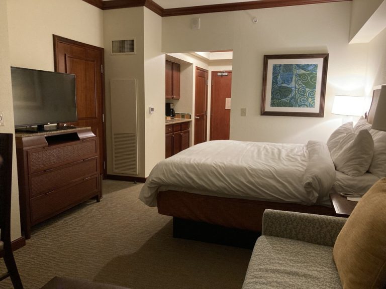 客室全体(入口方向)