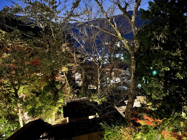 部屋からの眺望(夜)1