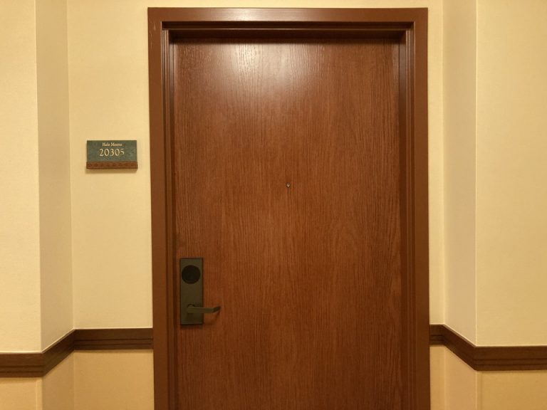 客室入口外観ドア