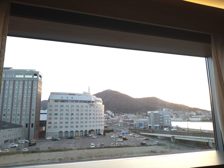 客室からの眺望(昼)