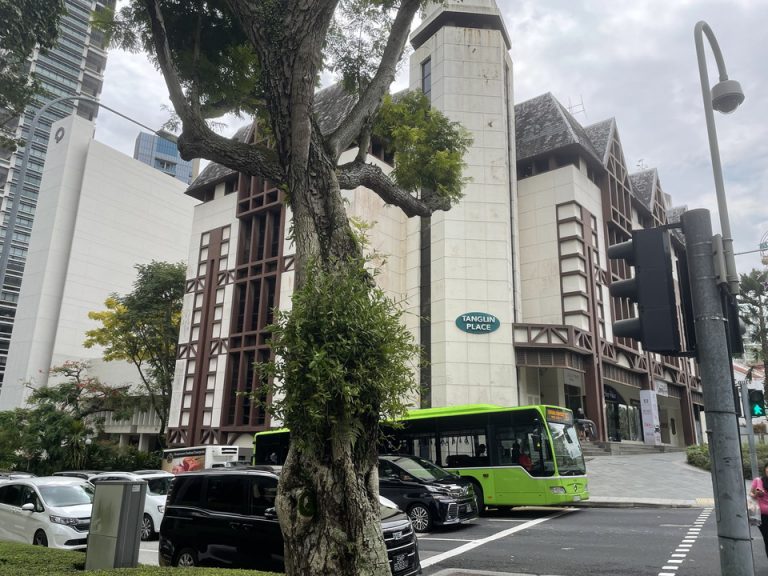 タングリンモール