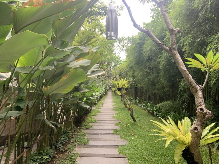 客室階廊下全体