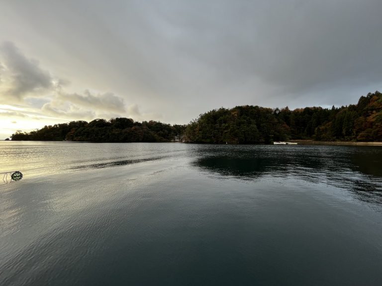 桟橋からの眺望