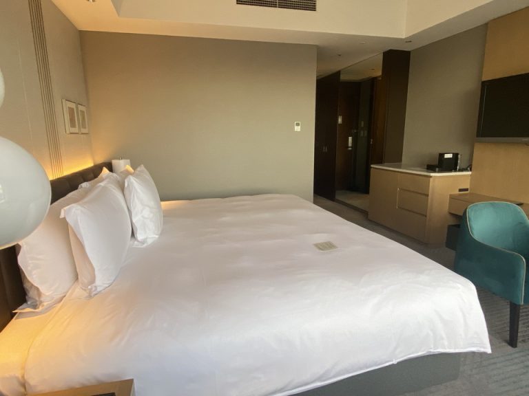 客室入口(窓際方向から)