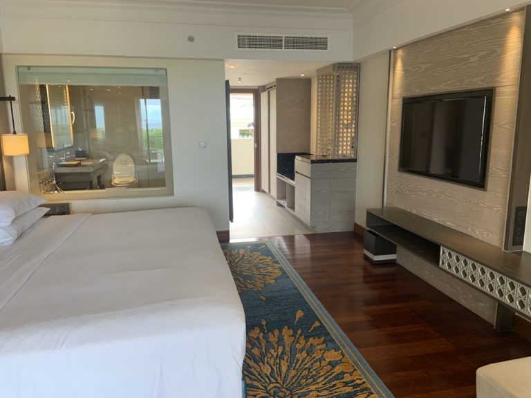 客室全体_入口方向