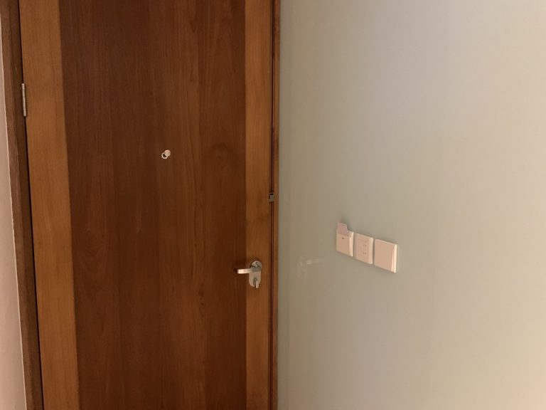 客室入口内観ドア_01