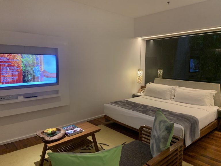 部屋全体_入口方向