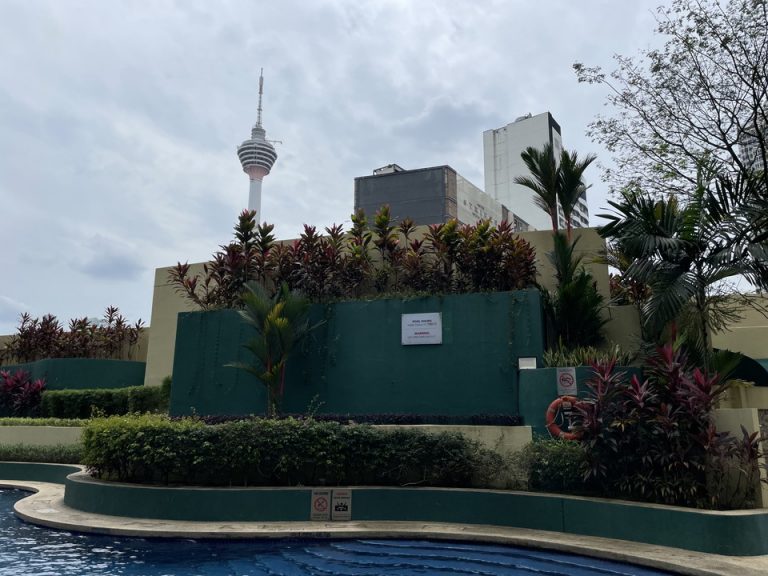 プールからの景色(1)