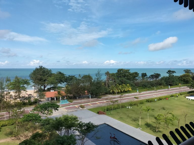 部屋からの眺望 (1)