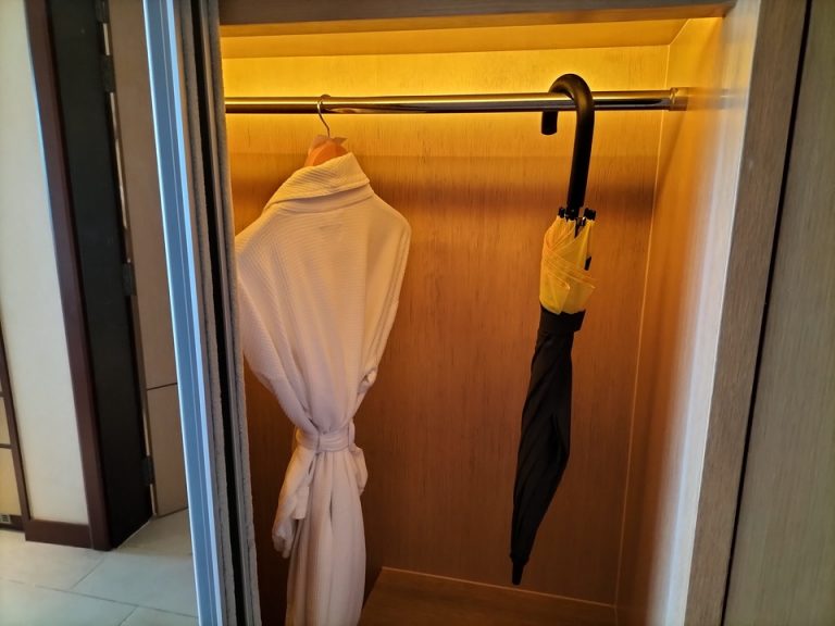 クローゼット外観(開けた状態) (2)