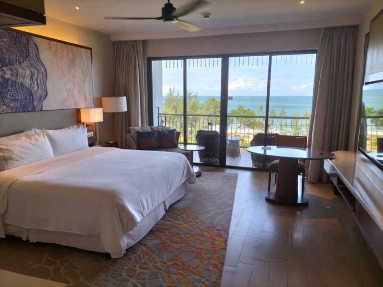 客室全体(窓際方向) (6)