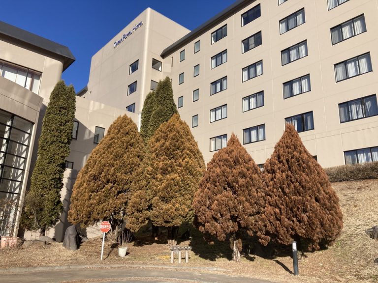 ホテル外観。各部屋から富士山が見えます。