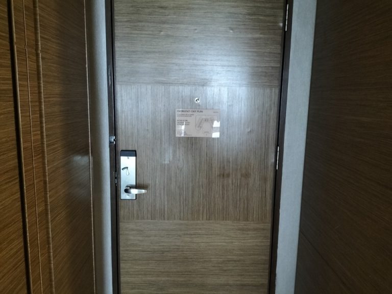 客室入口内観ドア (2)