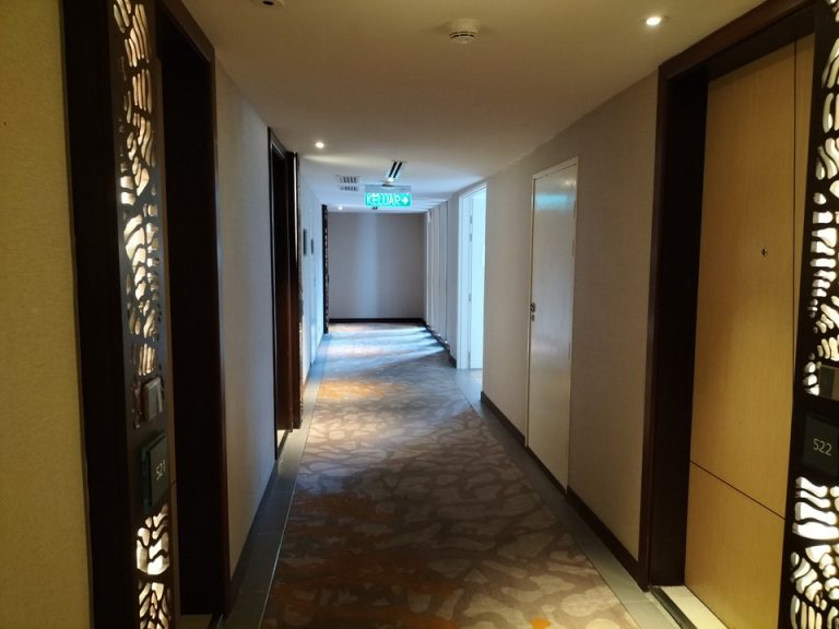 客室階廊下全体 (5)