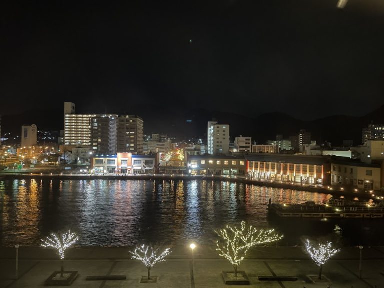 客室からの眺望_夜間