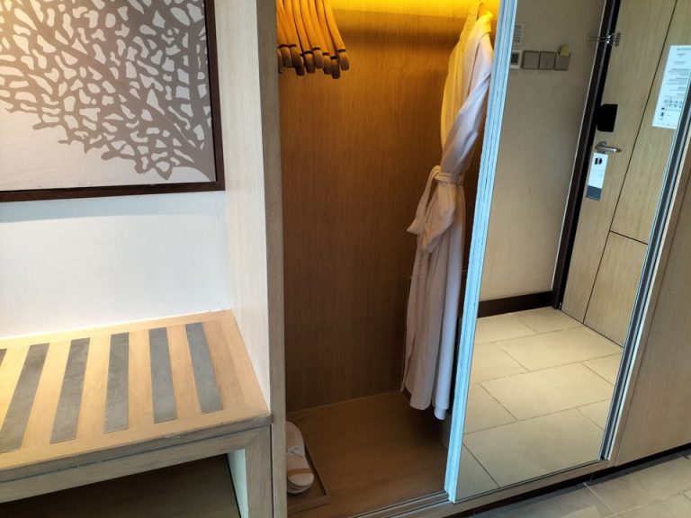 クローゼット外観(開けた状態) (4)