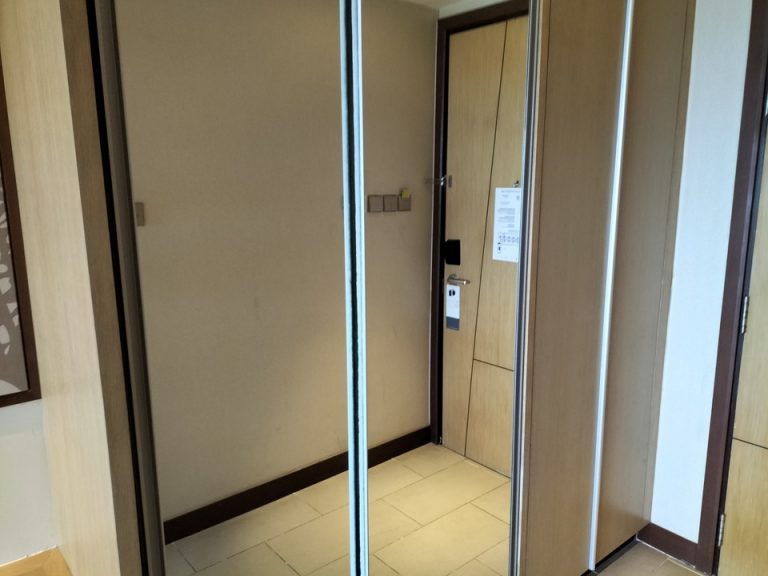 クローゼット外観(閉じた状態) (1)