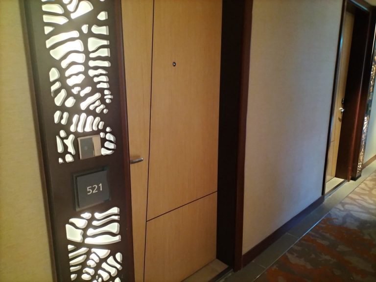 客室廊下入り口付近 (2)