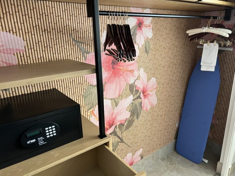 クローゼット外観(開けた状態)1