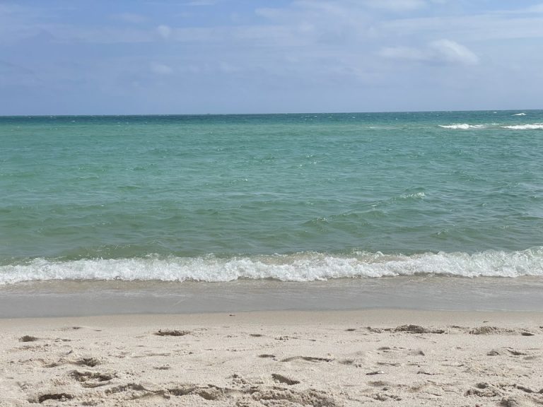 マイアミビーチ(4)