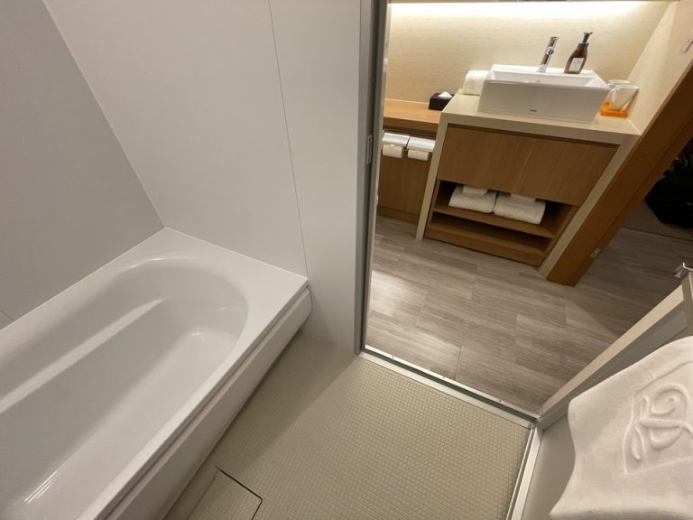 バスルーム内から入口を見ると、洗面台になります。