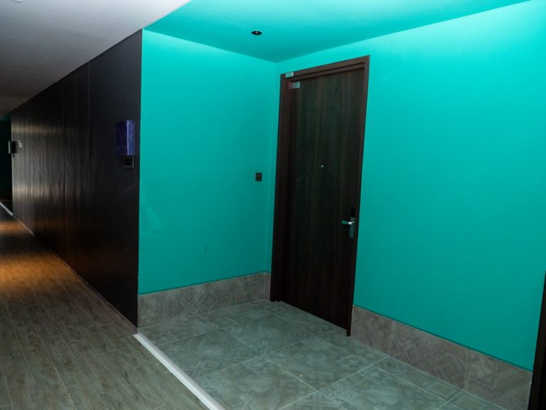 客室入口付近廊下