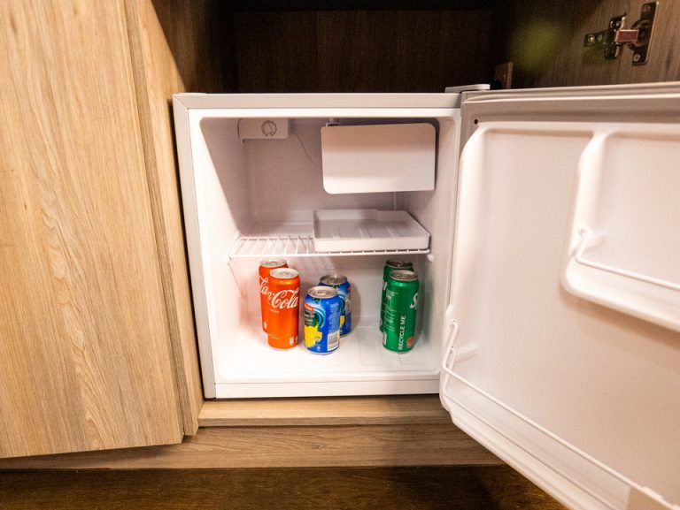 冷蔵庫(開けた状態)