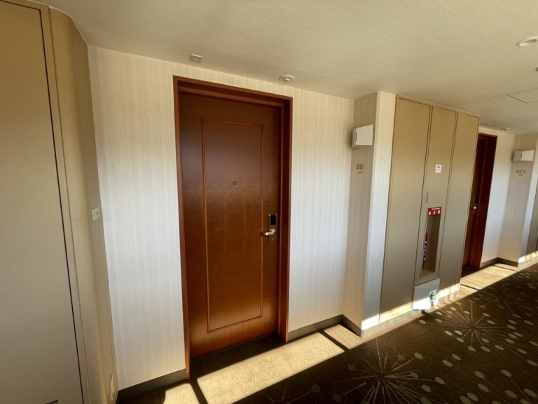 客室入口付近の廊下は、絨毯が敷いてあります。