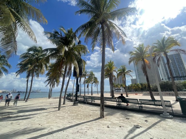 周辺散策で海側の道(2)