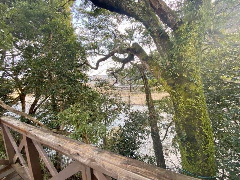 客室のすぐ裏には川が流れており、テントの中にいても水の音が聞こえて自然を感じられました。