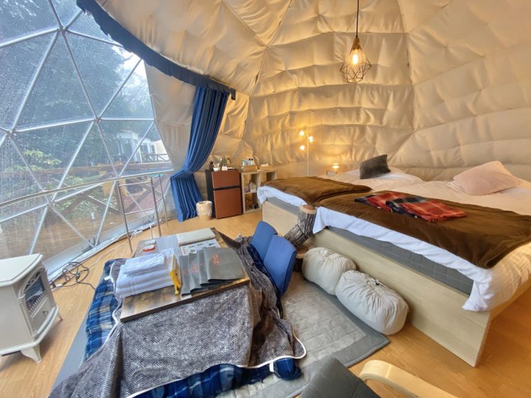 客室全体(窓際方向)