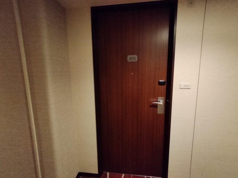 客室入口ドア内側