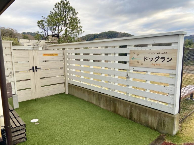 ドッグラン(2)