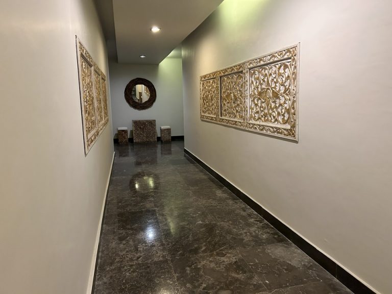 客室入口付近廊下