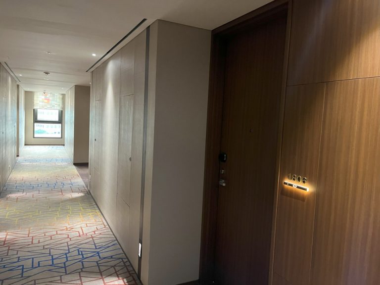 部屋入り口付近の廊下③