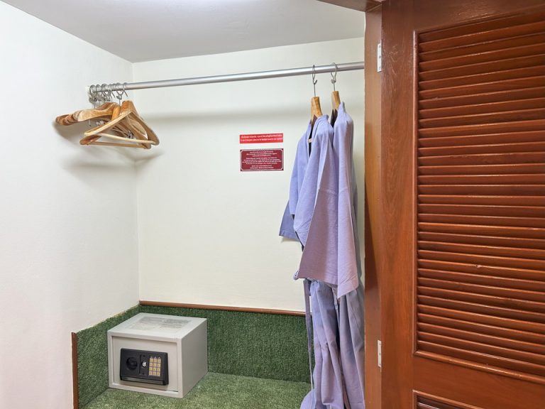 クローゼット外観開けた状態