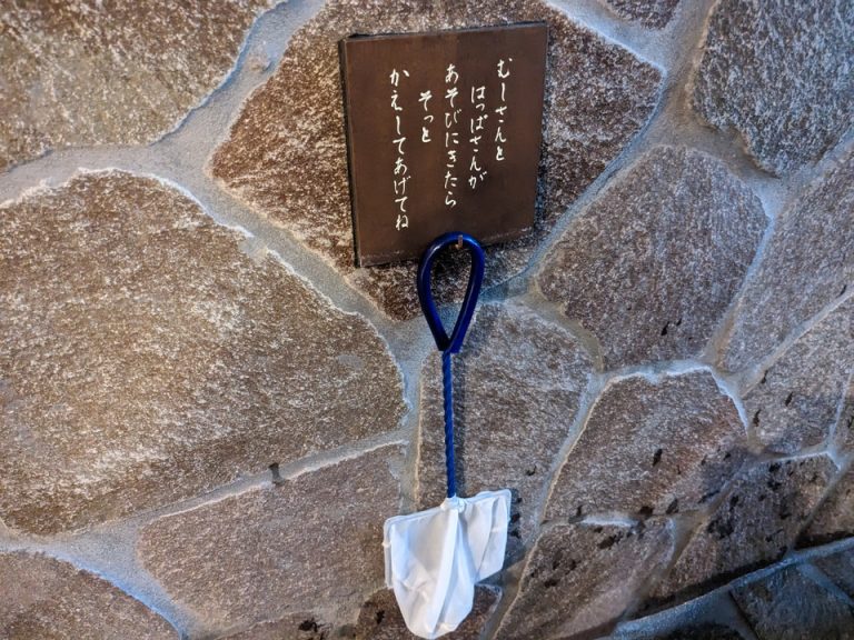 貸切風呂内、虫さん、葉っぱさんにもやさしいホテル