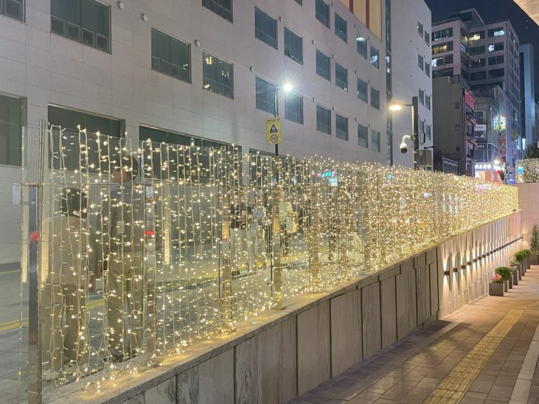 入口のスロープ