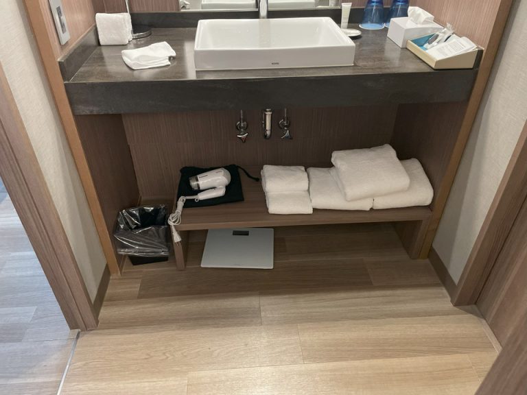 洗面台したい全体