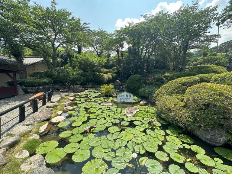 海地獄(4)
