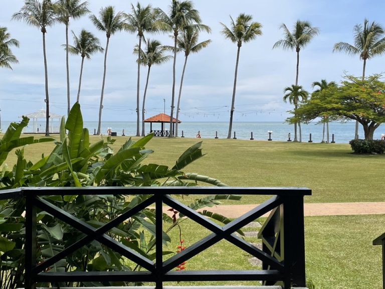 部屋からの景色