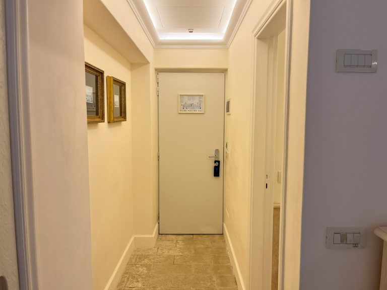 客室入口内観ドア(1)