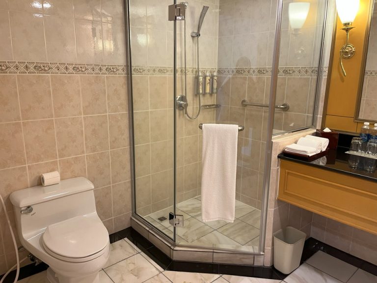 バスルーム入口から全景_シャワー_トイレ