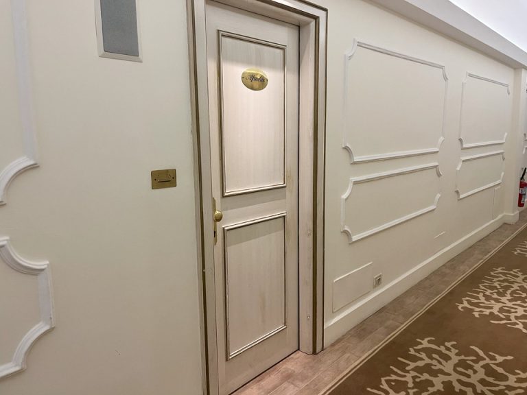 客室入口外観ドア(2)