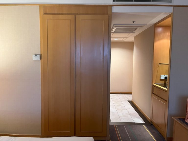 クローゼット外観(閉じた状態)